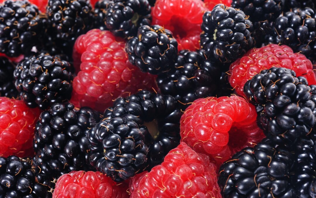 raspberries-and-blackberries-5001160_1920